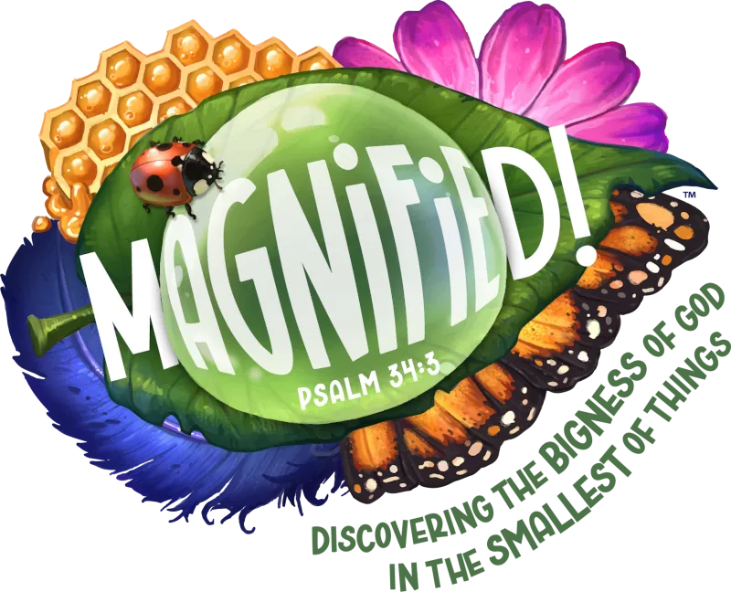 Magnified VBS at Holly Springs Baptist Church